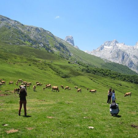 Hosteria Picos De Europa Potes Kültér fotó