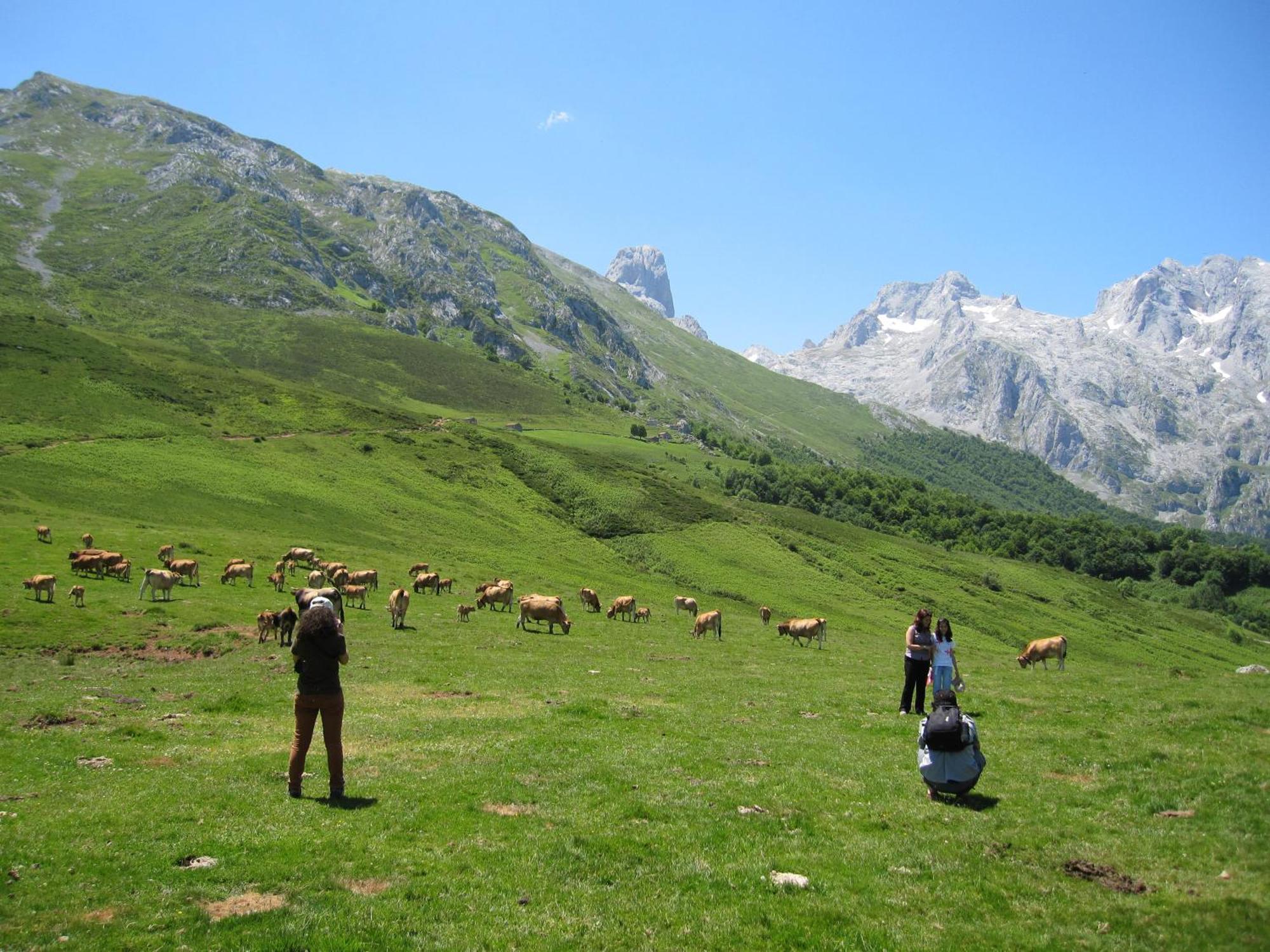 Hosteria Picos De Europa Potes Kültér fotó