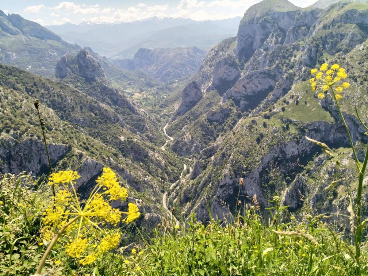 Hosteria Picos De Europa Potes Kültér fotó