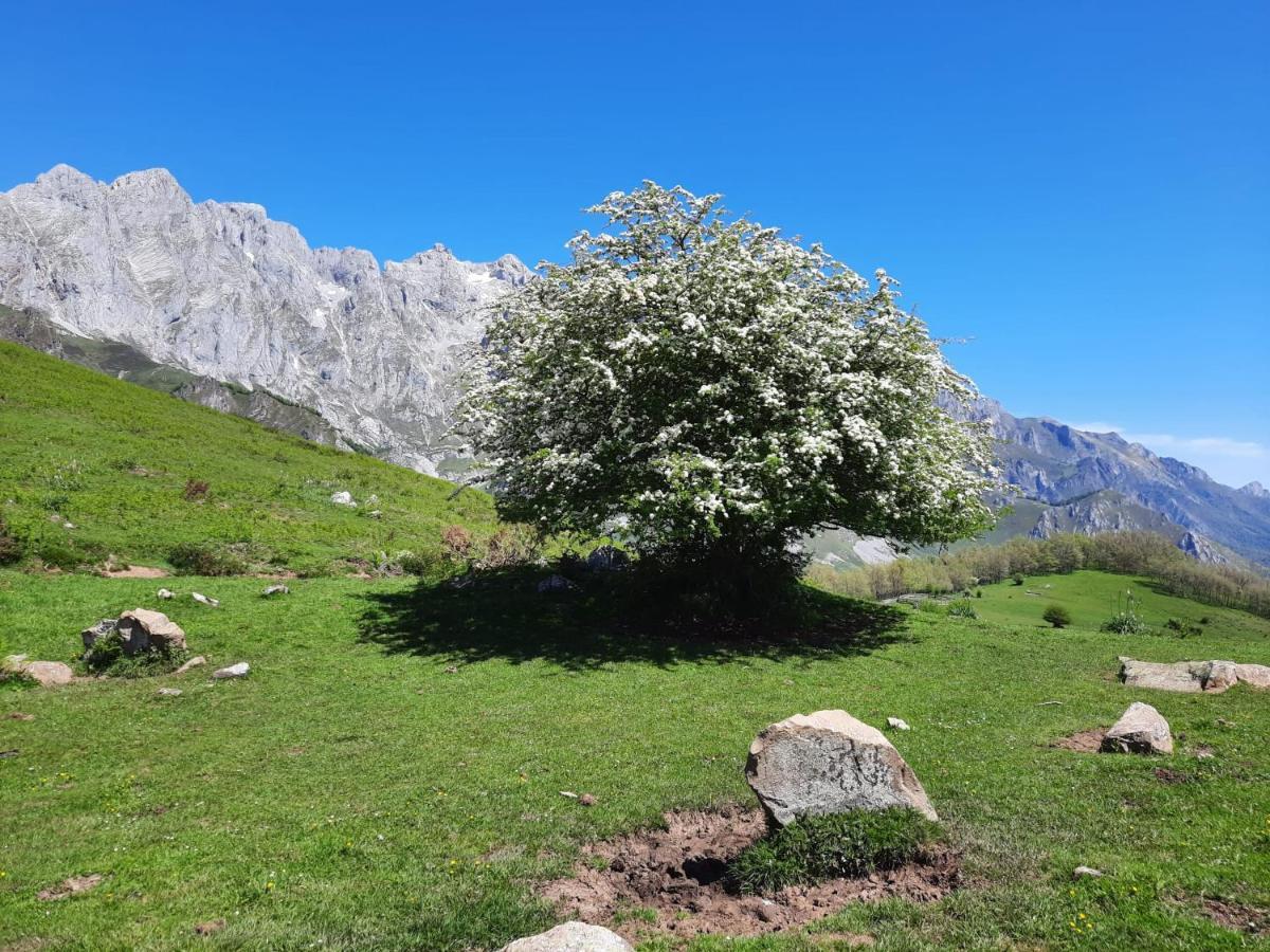 Hosteria Picos De Europa Potes Kültér fotó